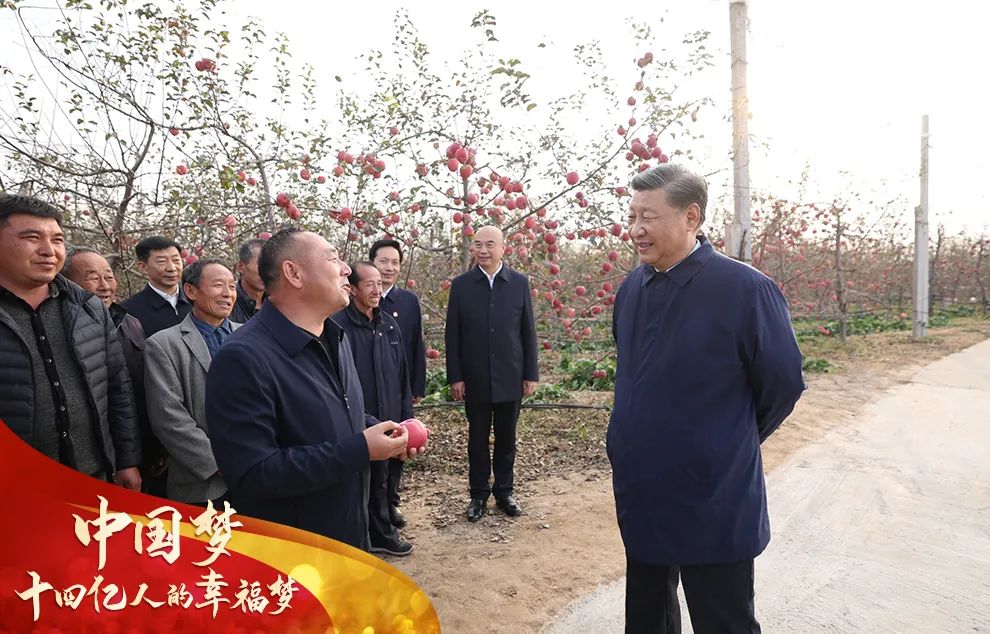 1669857369924784.jpg 6.jpg